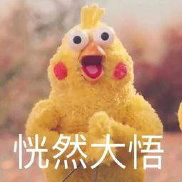 timg (8).jfif_meitu_4.jpg