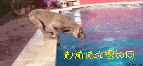 试试水温.gif