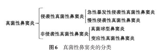 鼻窦炎图6.jpg
