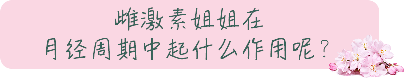 图片24534.png