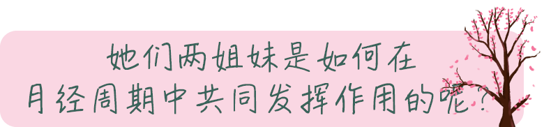 图片24545345.png