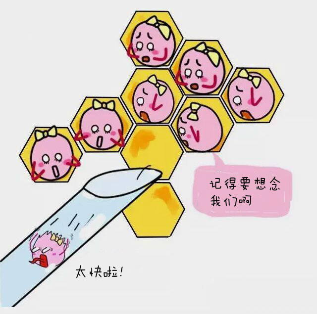 timg (2).jpg