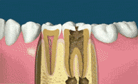 3040D860DEAF806C5B687EC69243B203D0AE269B_size1124_w200_h122.gif
