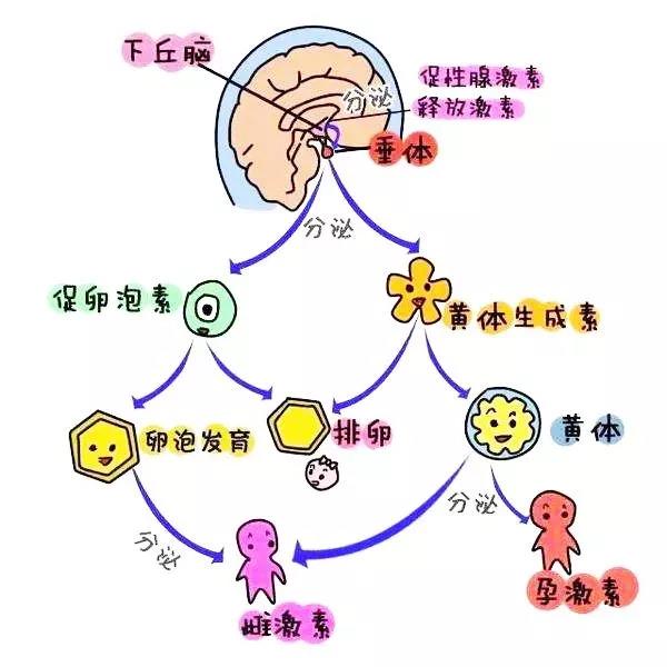 微信图片_20190516084558.jpg