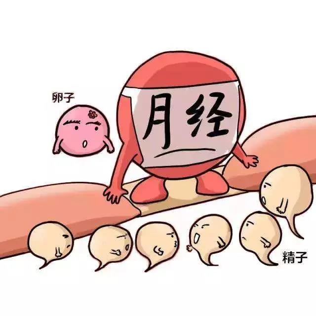 微信图片_20190517090926.jpg