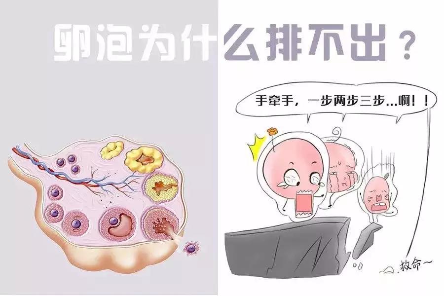 微信图片_20190518091518.jpg