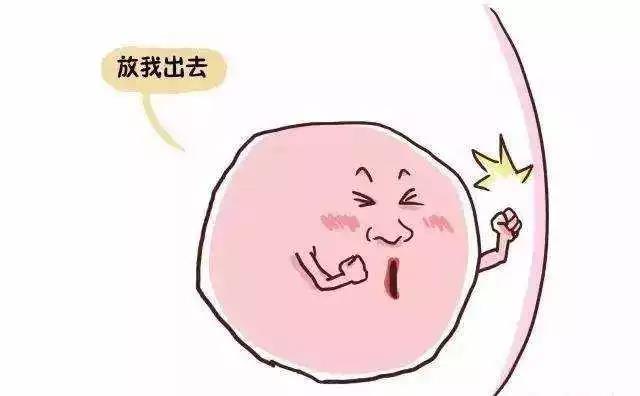 微信图片_20190518091526.jpg