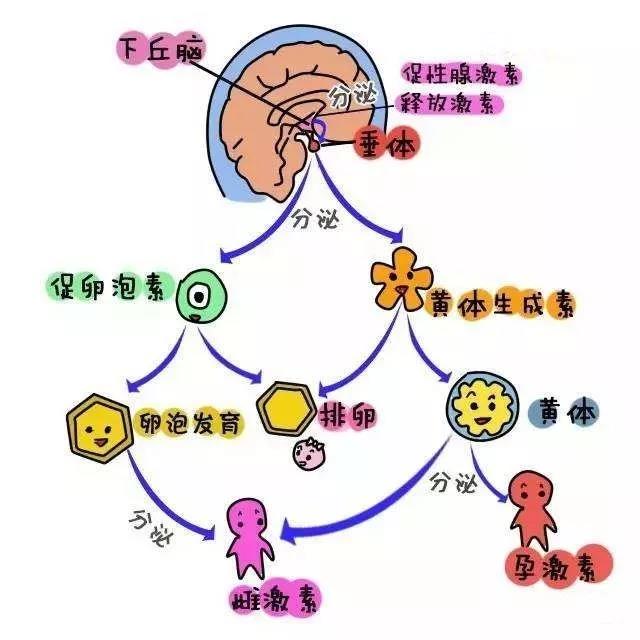 微信图片_20190518091529.jpg