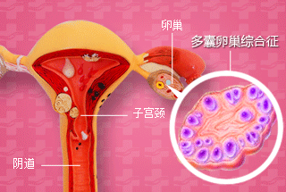 微信图片_20190522085021.gif