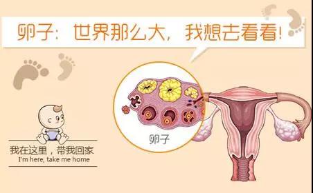 微信图片_20190522085032.jpg