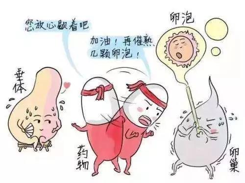 微信图片_20190530084935.jpg