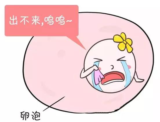 微信图片_20190602084253.jpg