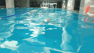 2.gif
