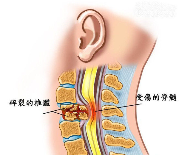 6483187bc6c64430a1085bacbcaec86 (2).png