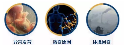 发育异常激素环境因素.png