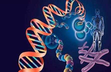 这5种癌有明确的家族遗传性!怕中招,及早筛查很关键!