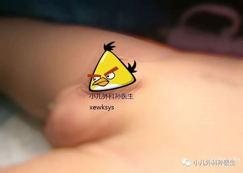 无标题2.jpg