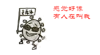 图片1543_副本.png