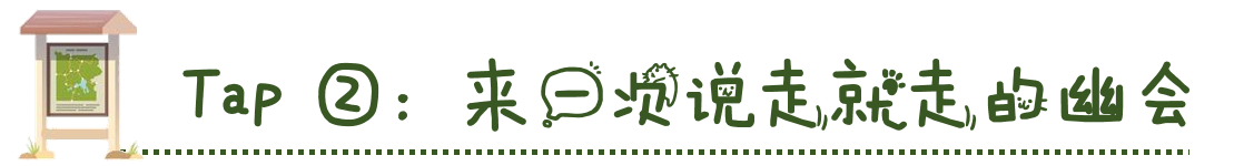 图片16.png