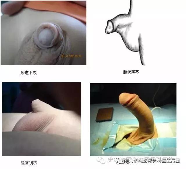 微信图片_20190704220919.jpg