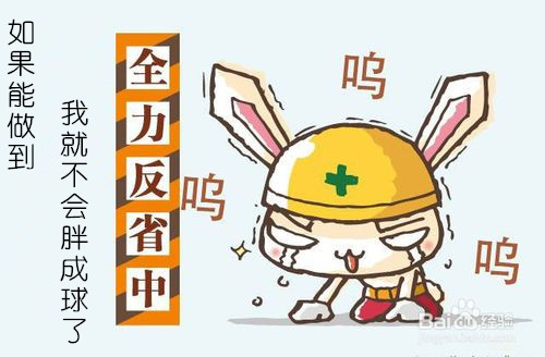63d0f703918fa0ecfe986395219759ee3c6ddbcf_副本.jpg
