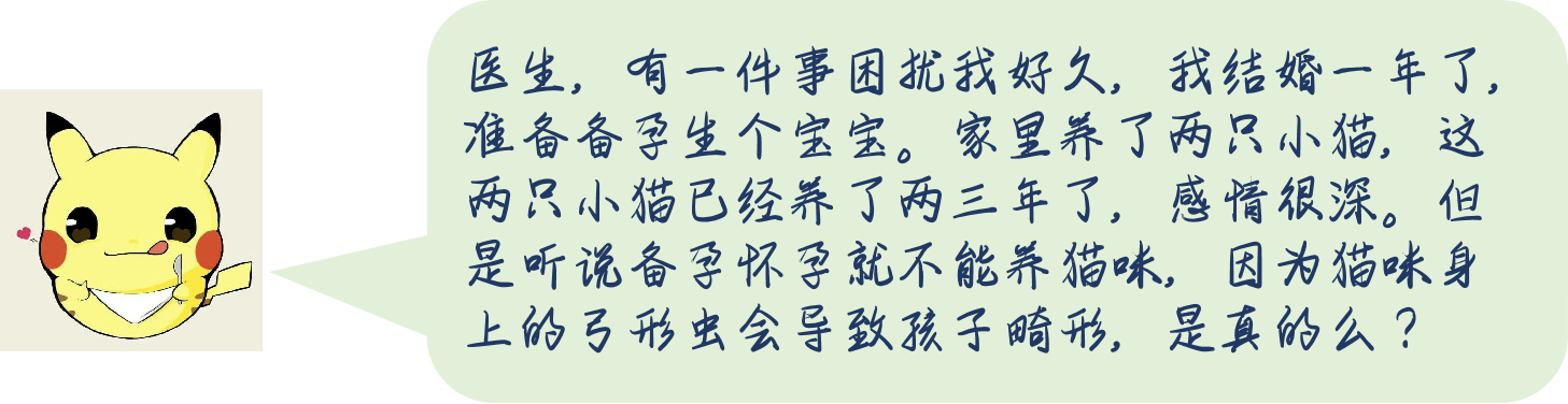 图片13.png