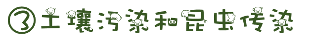 ghjmd.png