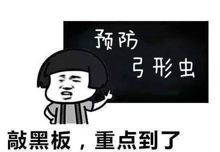 ddb3216a34454dc4a274cb1bdde0ada4_meitu_8_meitu_1.jpg