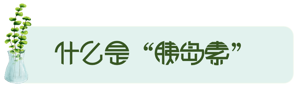 图片13.png