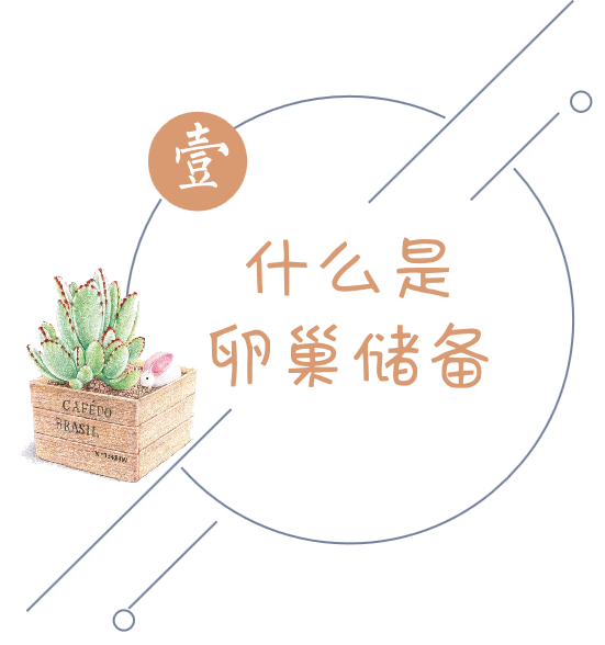 图片1iul.png