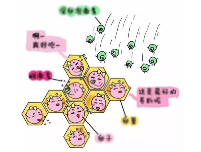 4-1Q120091255S8.png