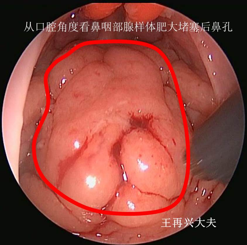 编辑图片3.jpg