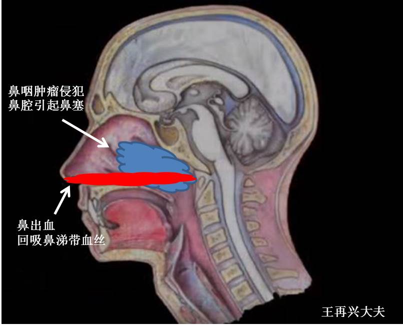 编辑图片2.jpg