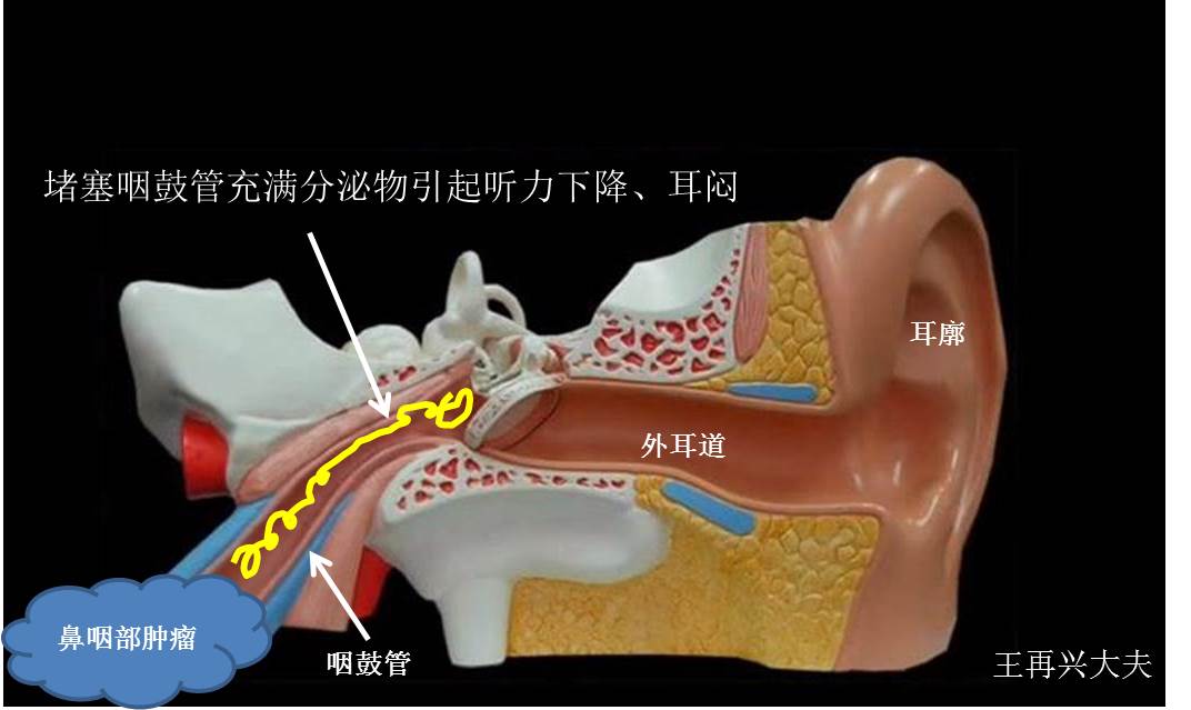 编辑图片5.jpg