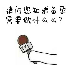 8767867.jpg