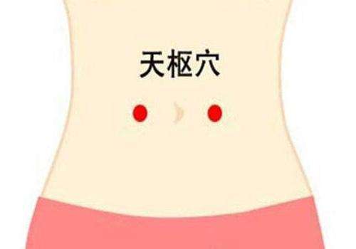 天枢穴.jpg