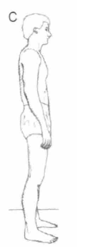 图4.PNG