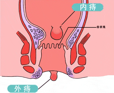 微信图片_20190904190606.gif