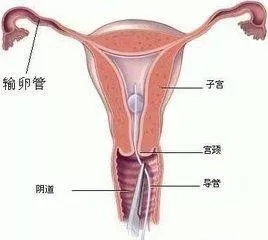 640.webp (1).jpg