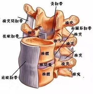 多,但是體徵(臨床檢查有力量,感覺和反射正常等)比較少的這樣一個特點