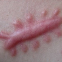 1568596858493597.png 图片7.png