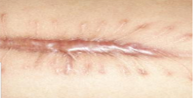 1568597065302635.png 图片8.png