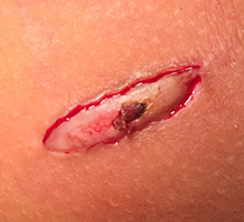 1568621461355007.png 图片3.png