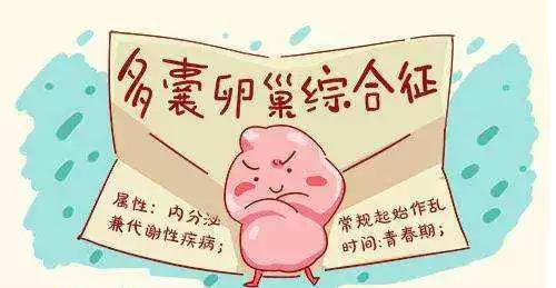 微信图片_20181127141452.jpg
