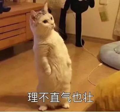 理不直气壮.jpg