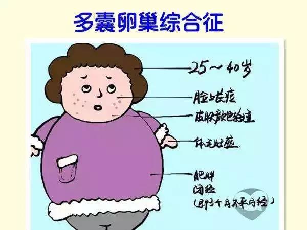 微信图片_20181127141534.jpg