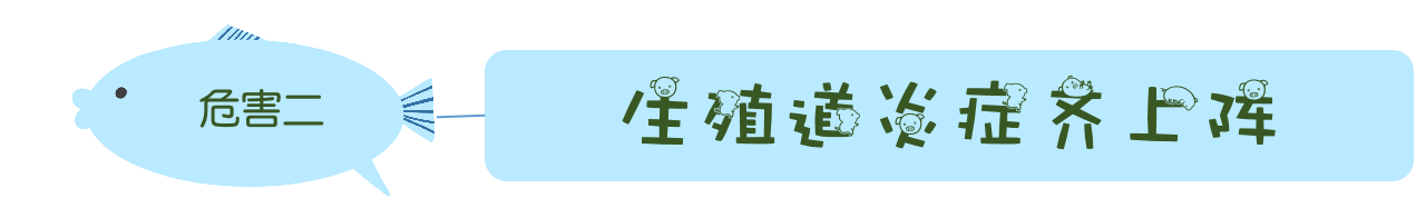 图片13.png