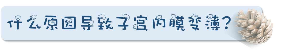 图片147.png