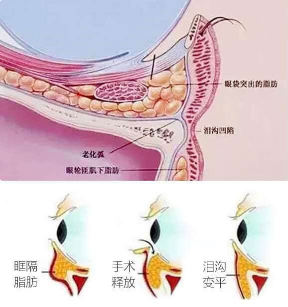 timg (3)_副本.jpg