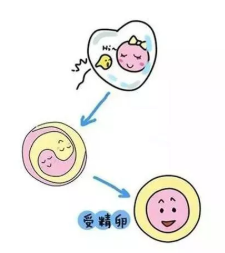 微信截图_20191022105437.png